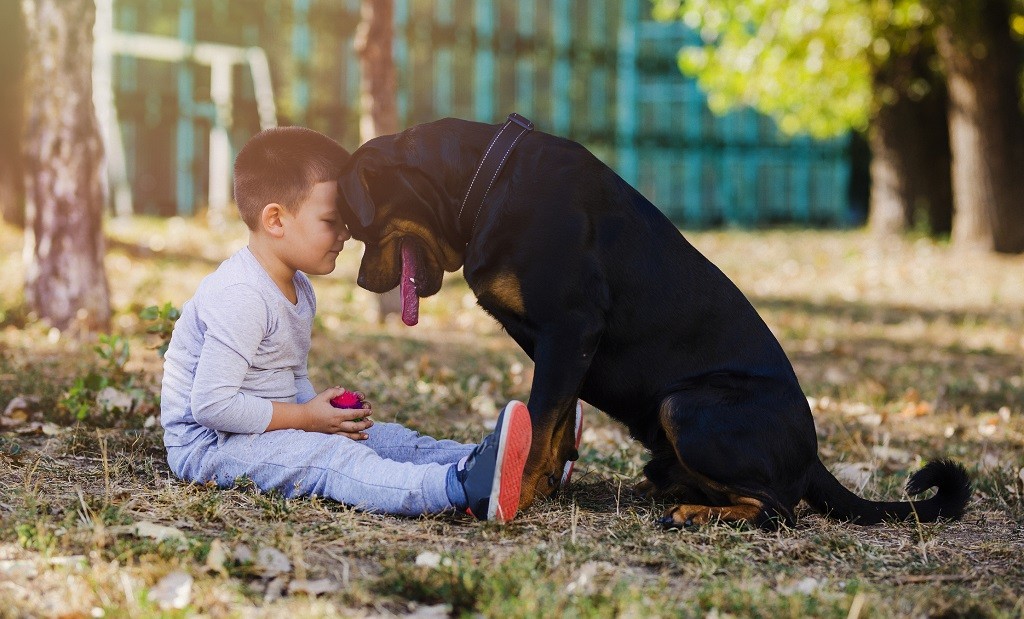 Kleiner Junge sitzt Kopf an Kopf mit einem großen Hund auf dem Boden